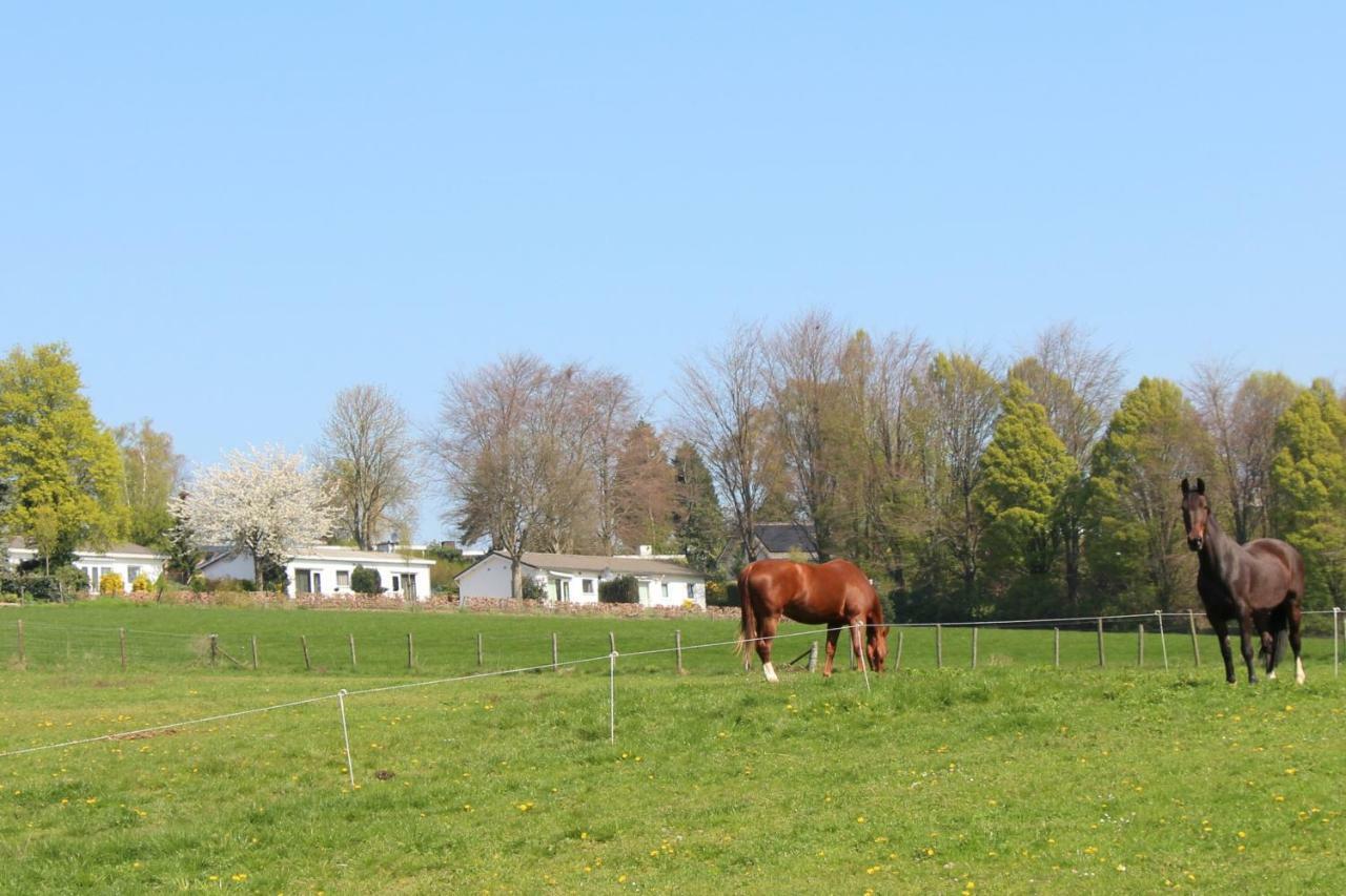 Domein Hellebeuk Met Uitzicht! Valkenburg/Klimmen Εξωτερικό φωτογραφία